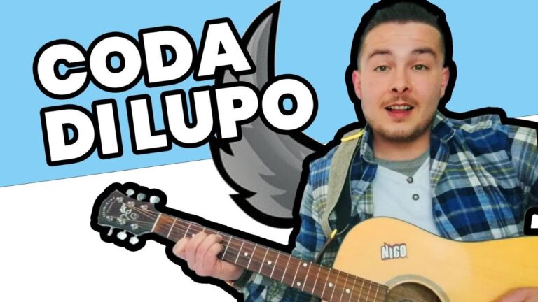 Accordi per Coda di Lupo: Guida Pratica