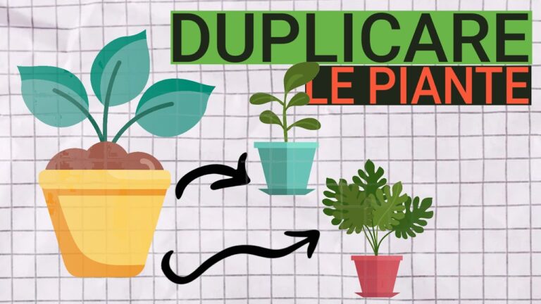 Propaggini Vegetali: Tecniche e Vantaggi per la Crescita delle Piante