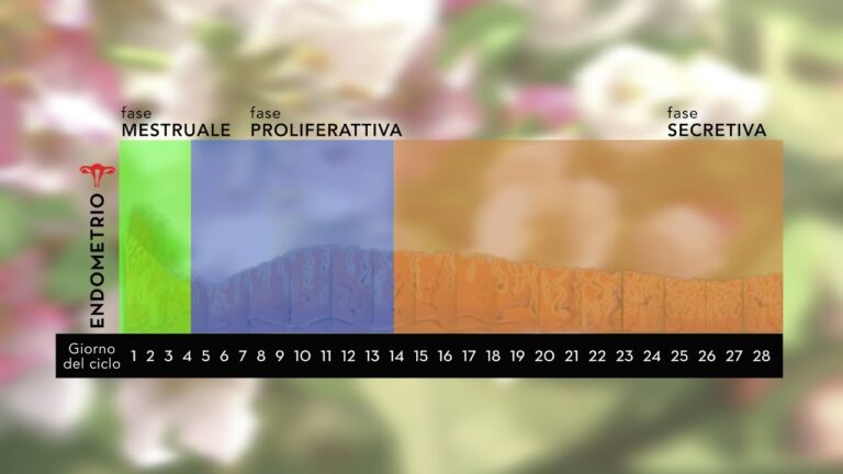 Esperienze con il Trasferimento di Embrioni Congelati