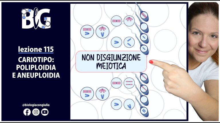 Aneuploidia: Significato e Implicazioni Biologiche