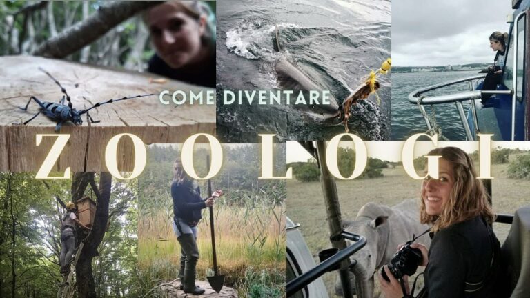 Il Ruolo dello Zoologo: Compiti e Responsabilit&agrave;