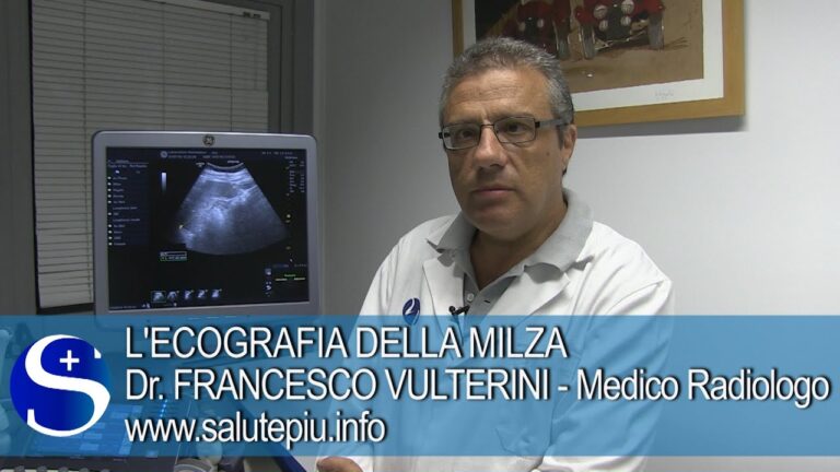 Dimensioni della Milza: 14 cm e Oltre