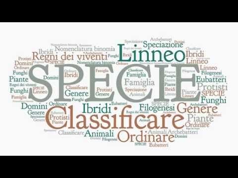 Nomenclatura Binomia: Fondamenti e Applicazioni