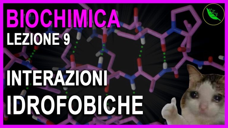 Interazioni Idrofobiche: Fondamenti e Applicazioni