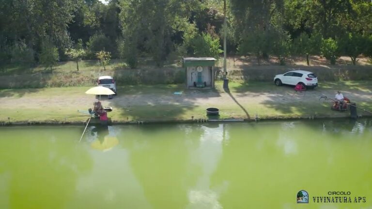 Esplorando il Circolo Laghi Vivinatura: Un Paradiso Naturale da Scoprire