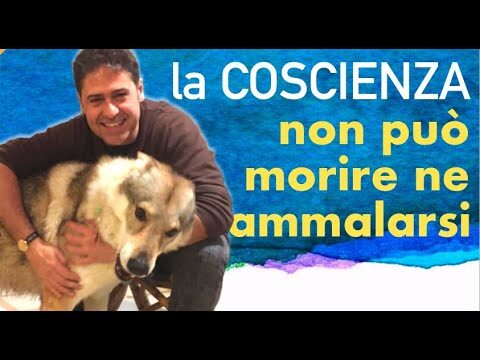 La Malattia di Pier Giorgio Caselli: Comprendere e Affrontare la Sfida
