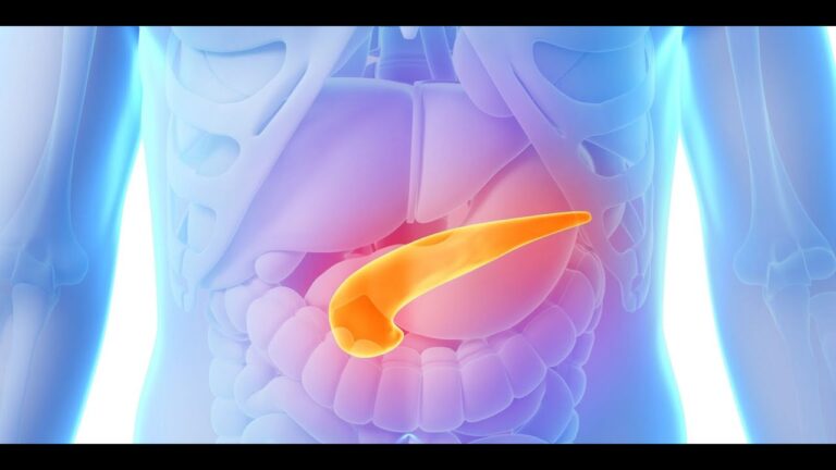 Elastasi Pancreatica: Un Indicatore Chiave nel Tumore Pancreatico