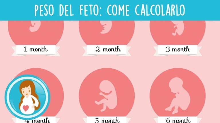 Tabella del Peso Fetale: Guida e Riferimenti Essenziali