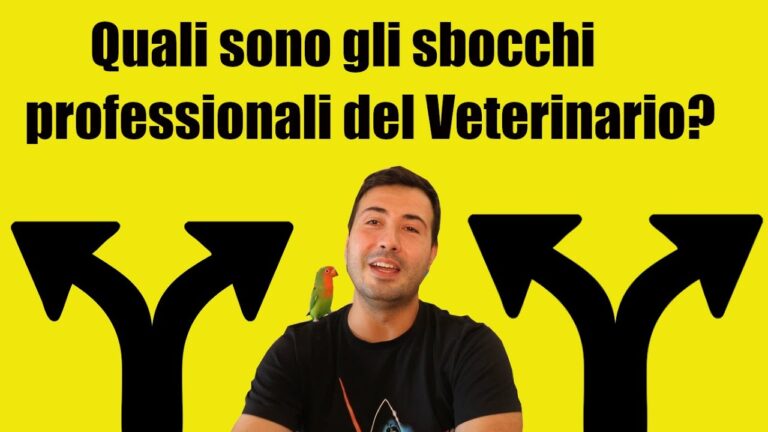 Le Specializzazioni Veterinarie: Guida Completa